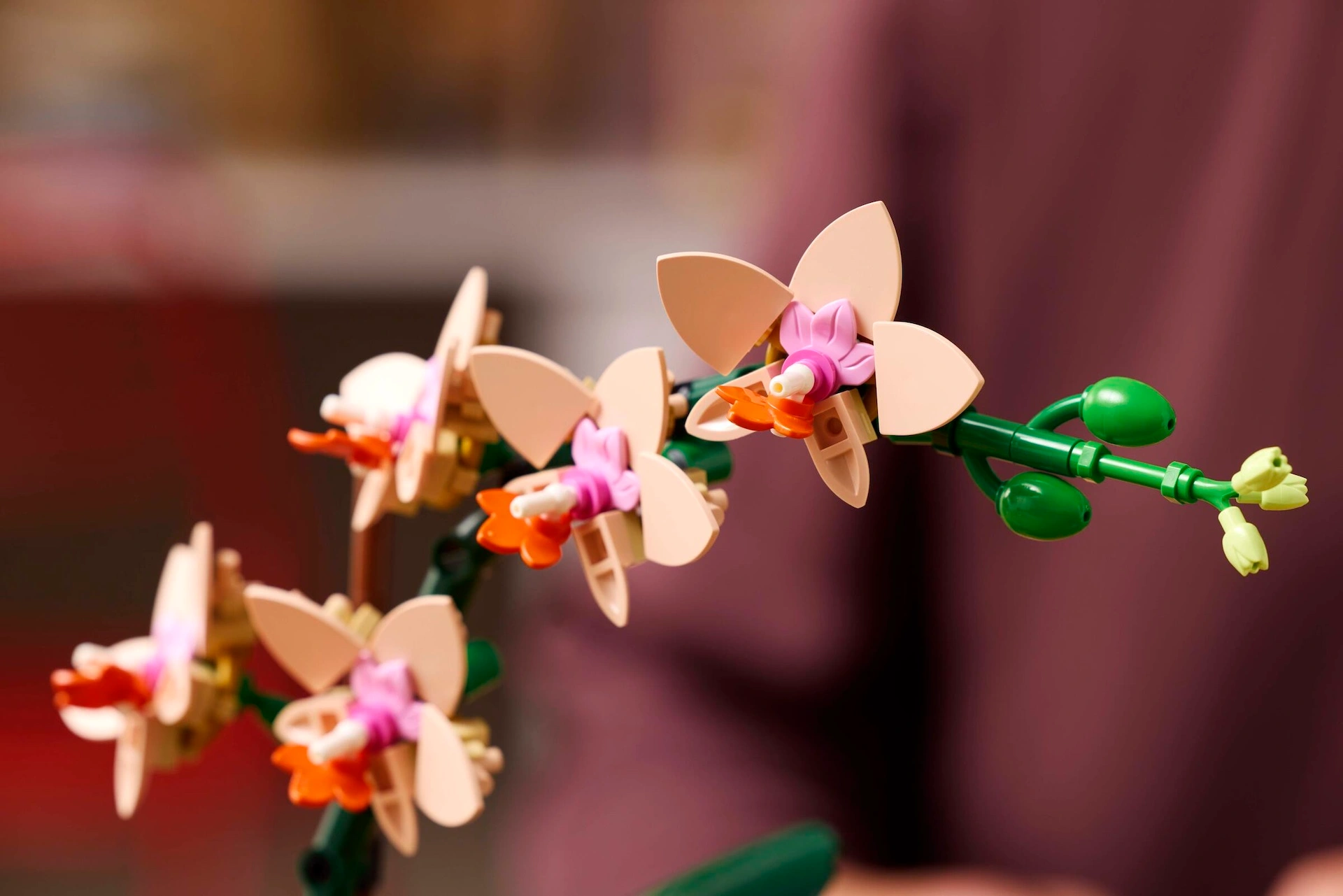 LEGO Botanicals Mini Orchid 10343 Macro
