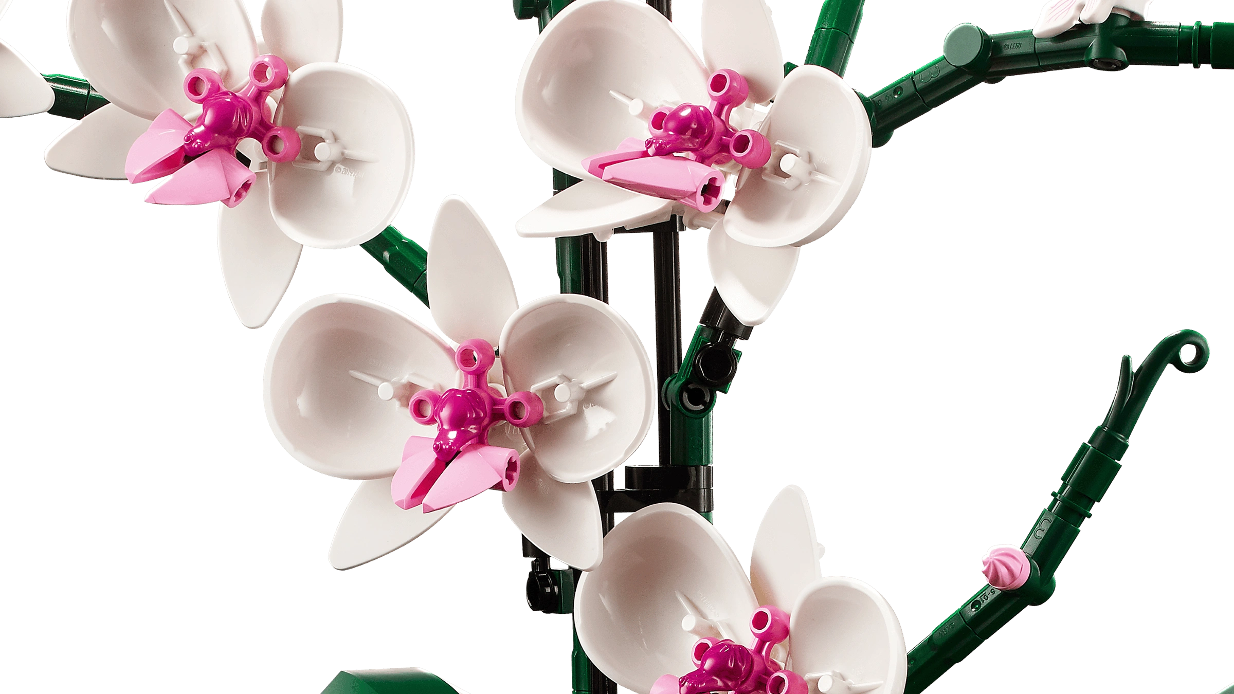 LEGO Orchid 10311 Flowers